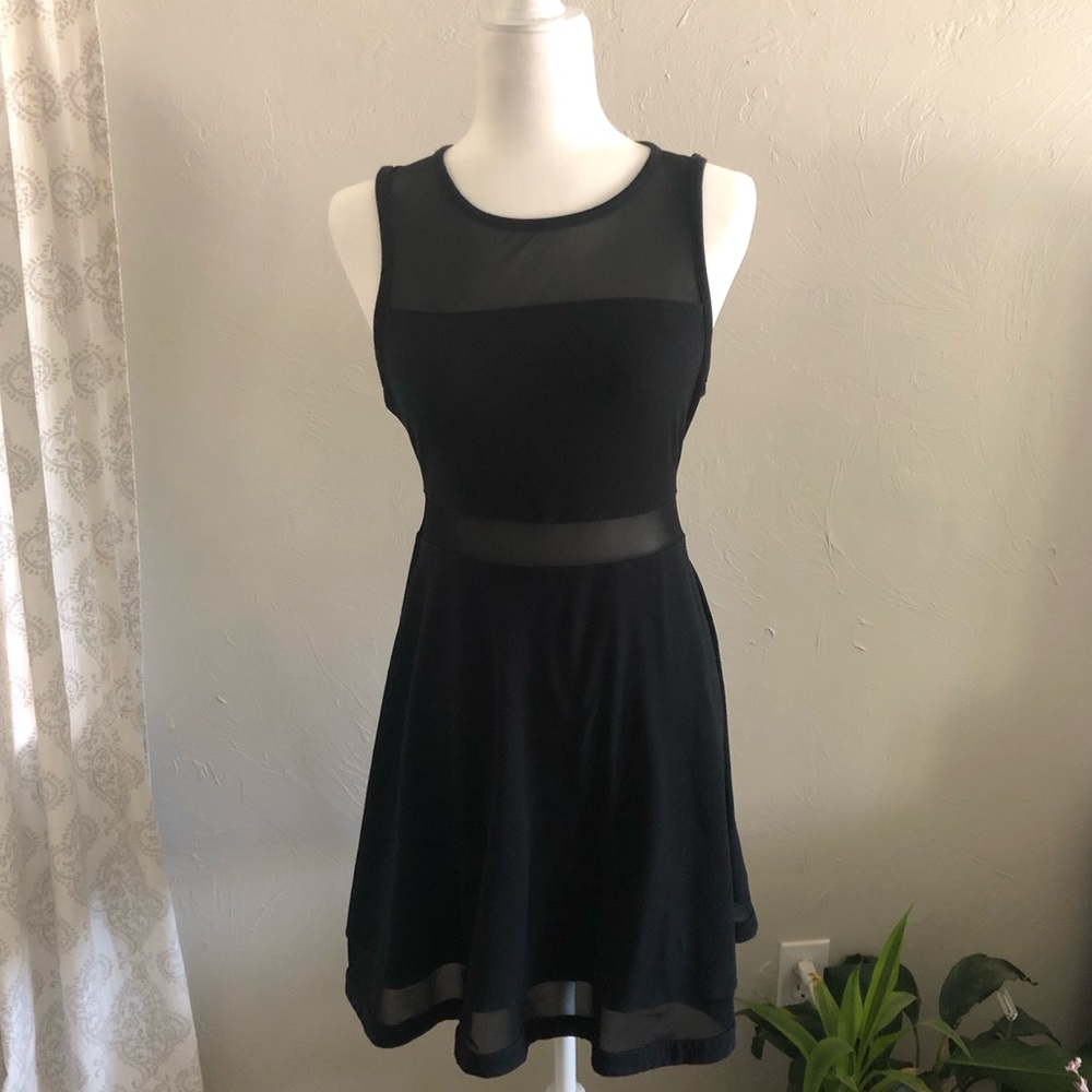 Express Skater Girl Mesh Dress
